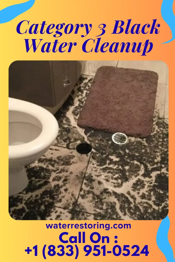 Category 3 Black Water Cleanup in Beverly, KS